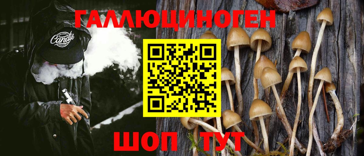 Красный Сулин  Псилоцибиновые грибы Cubensis  купить наркотик  Вход с VPN 