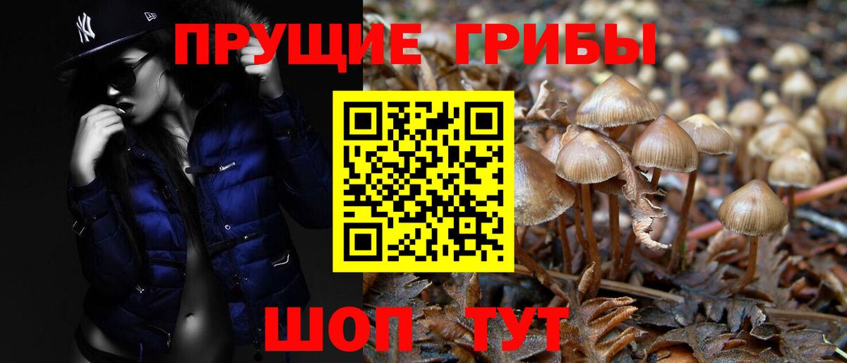 Псилоцибиновые грибы Psilocybe Красный Сулин